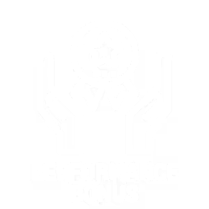Icon representing a performance bonus, featuring hands holding a star medal with a ribbon. Used for illustrating employee rewards and recognition programs.